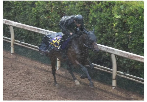 競馬記事オフトレイル